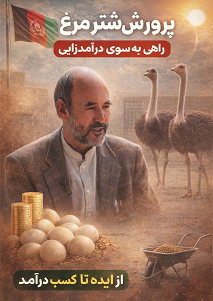 پرورش شترمرغ در کابل؛ صنعتی پرسود