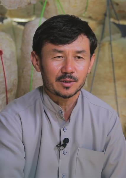 پرورش سمارق در افغانستان؛ کارستان