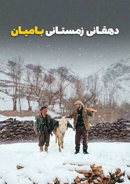 نان آور: دشواری‌های زراعت در بامیان