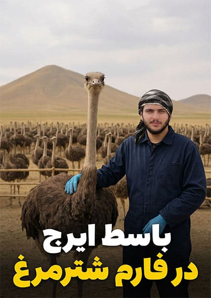 نان آور: تجربه کار در فارم شترمرغ