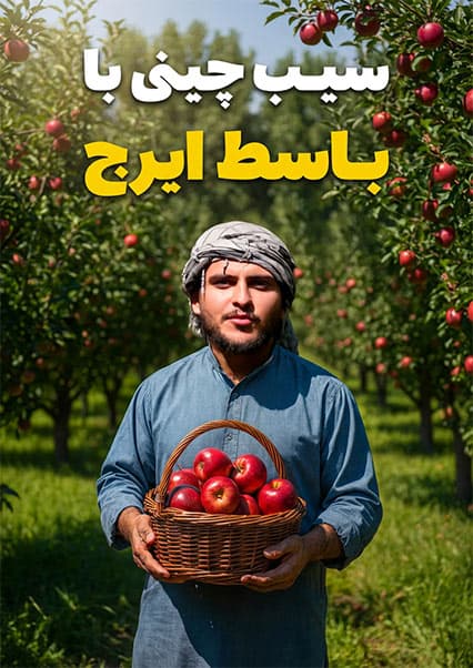 نان آور: تجربه باغداری و جمع‌آوری سیب با باسط ایرج