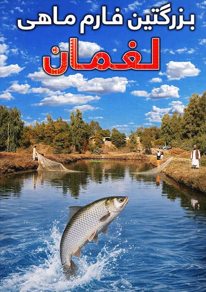 قریه به قریه: سفر به ولسوالی قرغیو لغمان