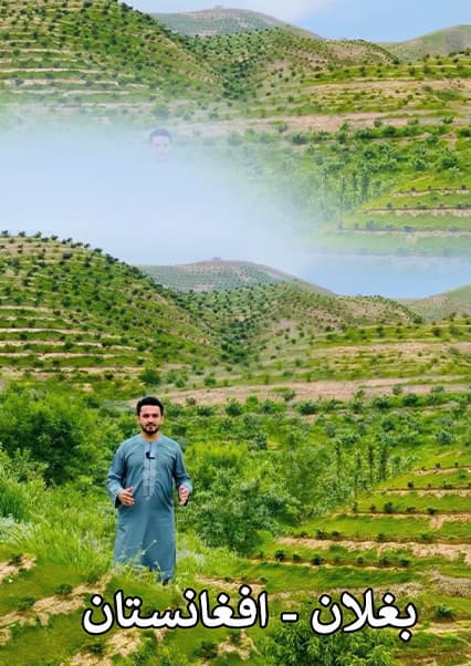 گزارش ویژه از سرسبزی و باغ‌های میوه در پلخمری بغلان