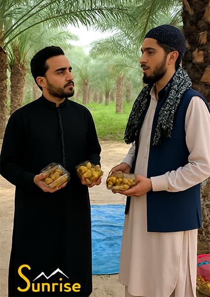 برداشت خرما در ننگرهار؛ سفر به مزارع جلال‌آباد
