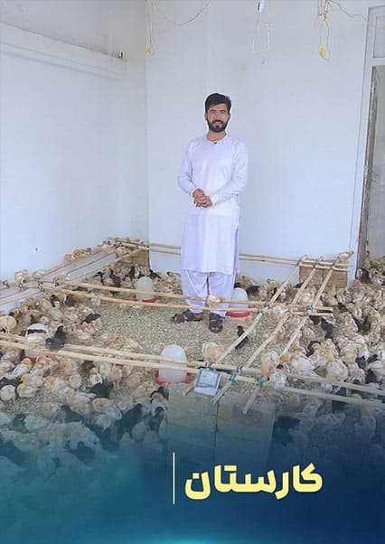 بزرگ‌ترین فارم مرغداری در افغانستان؛ بخش اول