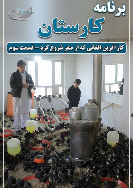 کارستان: داستان موفقیت کارآفرین افغان