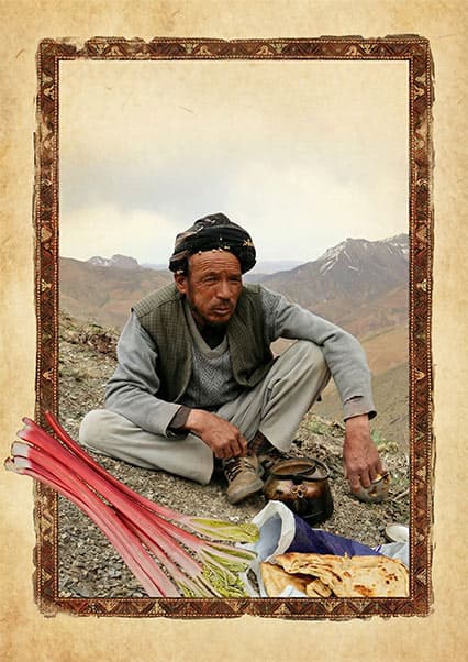 زندگی در روستاهای افغانستان و چیدن رواش کوهی