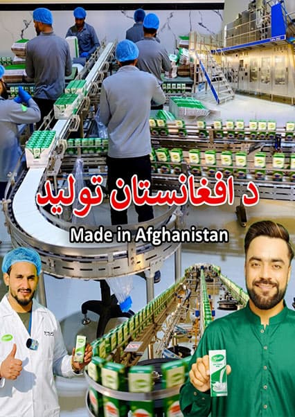 تولید شیر و قیماق خالص در کابل