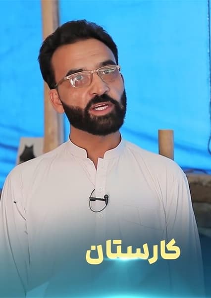 درخت پول‌ساز پالونیا در افغانستان 1