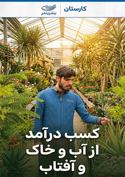 فرصت‌های طلایی زراعت در افغانستان