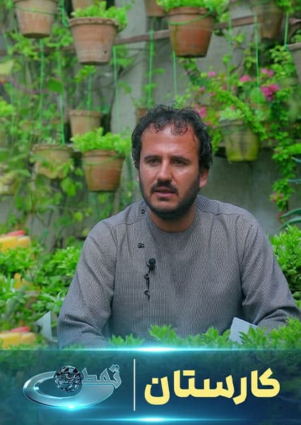رونق گل‌پروری در افغانستان؛ برنامه کارستان
