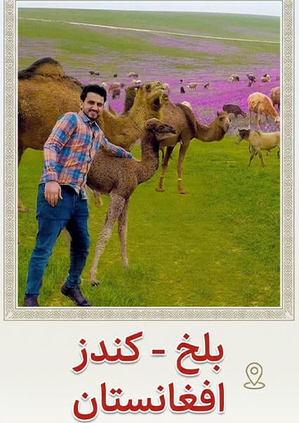 سفر از بلخ تا قندوز؛ تماشای دشت ابدان