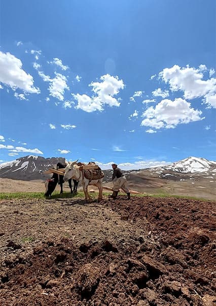 زندگی عشایری در قلب کوهستان‌های افغانستان