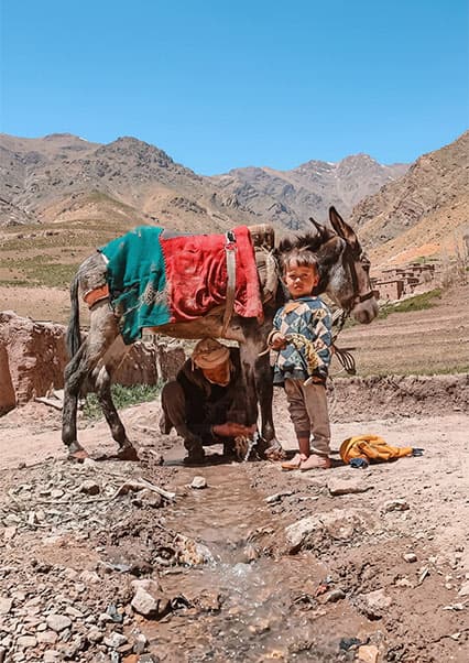 زندگی عشایری در قلب کوهستان‌های افغانستان