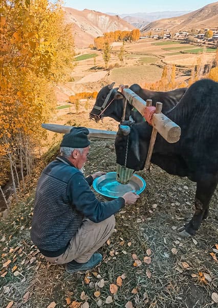 زندگی و آشپزی عشایر در قلب کوهستان
