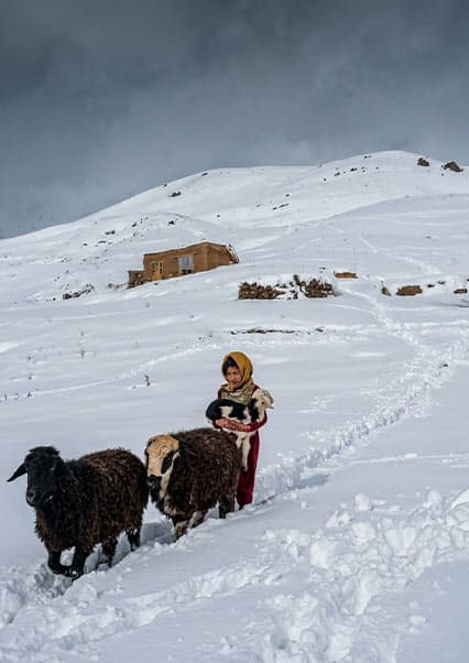 زندگی کوچی‌ها در زمستان سخت کوهستان