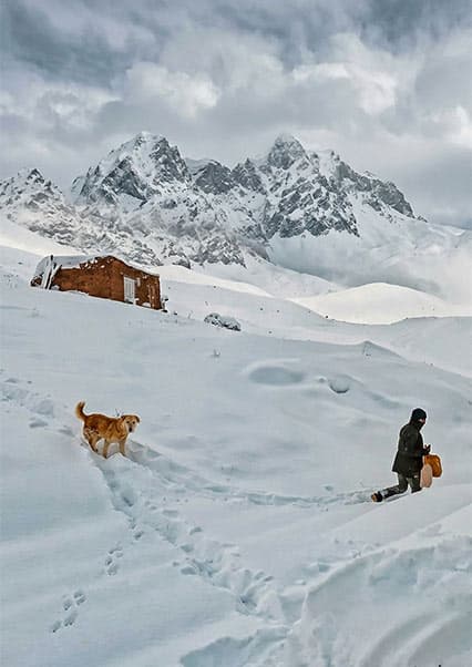 آمادگی کوچی‌ها برای زمستان سخت