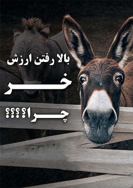 ارزش پنهان خر و بحران جهانی آن