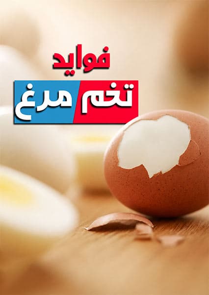 دانستنی‌های شگفت‌انگیز درباره تخم‌مرغ