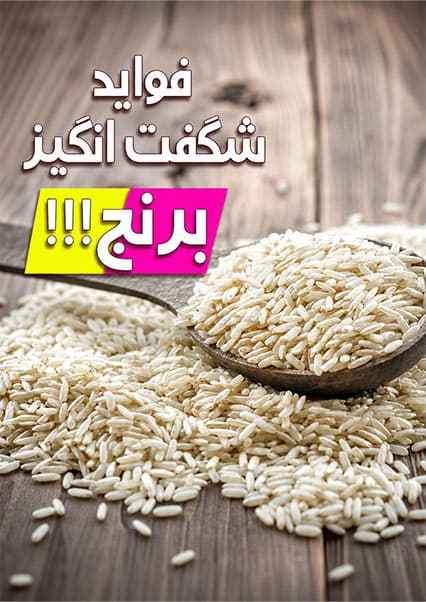 دانستنی‌های شگفت‌انگیز برنج