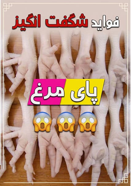 خواص درمانی پای مرغ