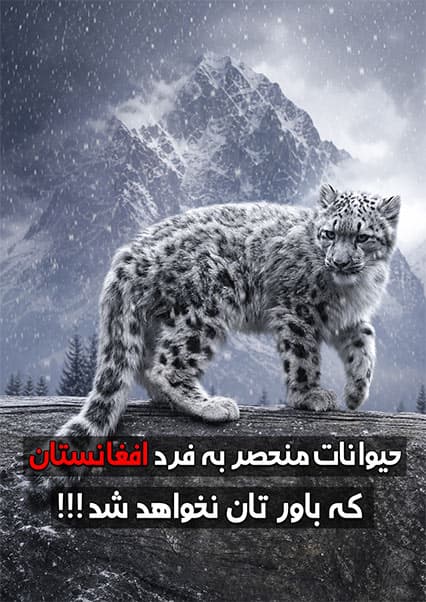 حیات وحش کمیاب افغانستان