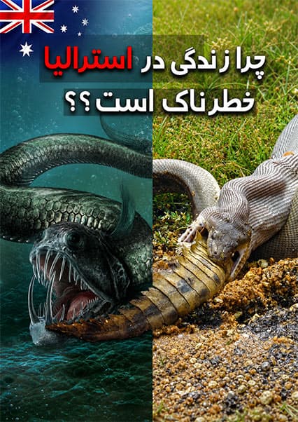 حیوانات خطرناک استرالیا