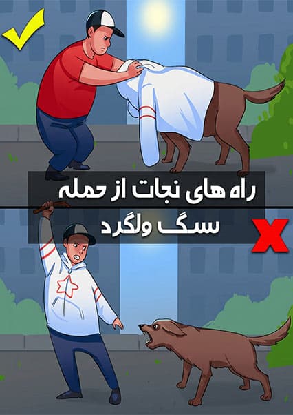 روش‌های نجات از حمله سگ‌های ولگرد