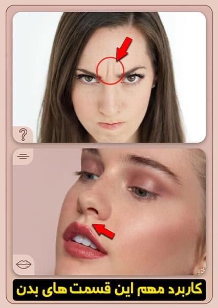 اسرار اعضای کوچک بدن انسان