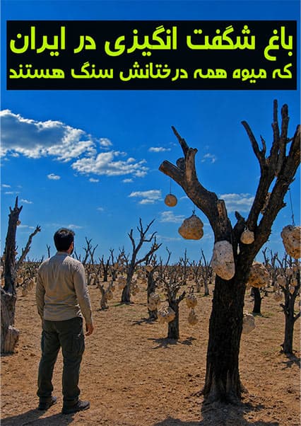 باغ سنگی سیرجان؛ شاهکار درویش‌خان