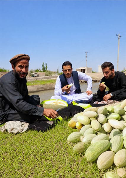 سفر به بدخشان و کندز؛ پالیز خربزه