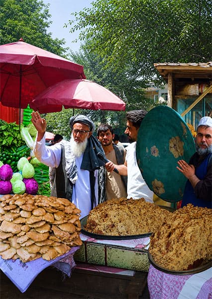 سفر به تالقان و لذت قابلی پلو تخاری